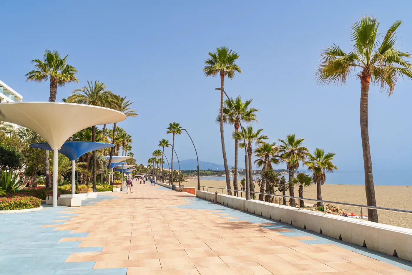 Palm-lined beachfront promenade in Estepona